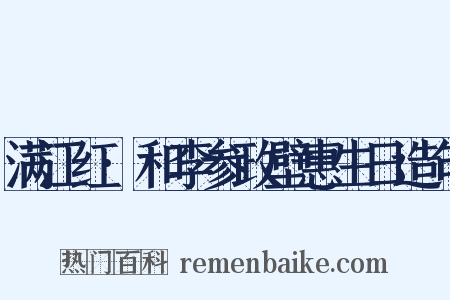 满江红·和李参政壁惠生日造句是什么意思的图片